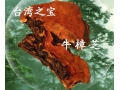 ManBetX体育