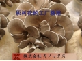 ManBetX体育