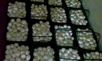 ManBetX体育