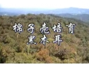 ManBetX体育