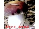 ManBetX体育