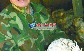 ManBetX体育