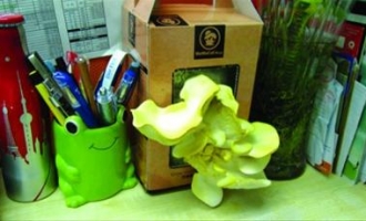ManBetX体育