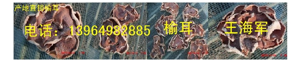ManBetX体育