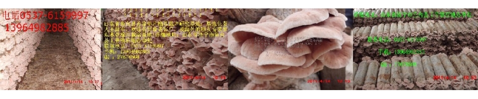 ManBetX体育