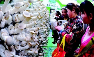 ManBetX体育