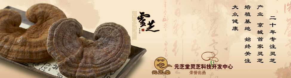 ManBetX体育