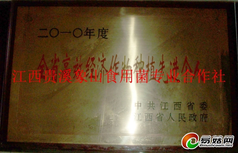 ManBetX体育