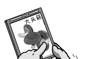 ManBetX体育