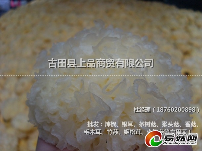 ManBetX体育