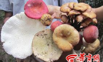 ManBetX体育