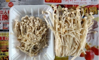 ManBetX体育