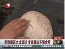 ManBetX体育