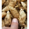 ManBetX体育