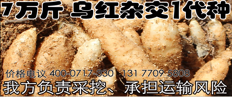 ManBetX体育