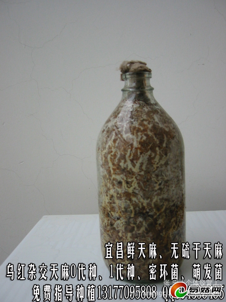 ManBetX体育