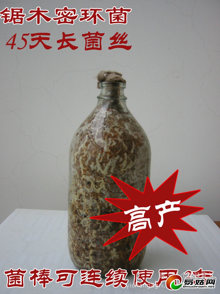 ManBetX体育