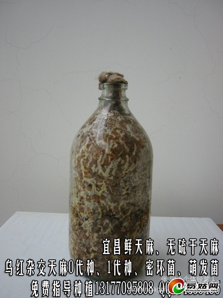 ManBetX体育