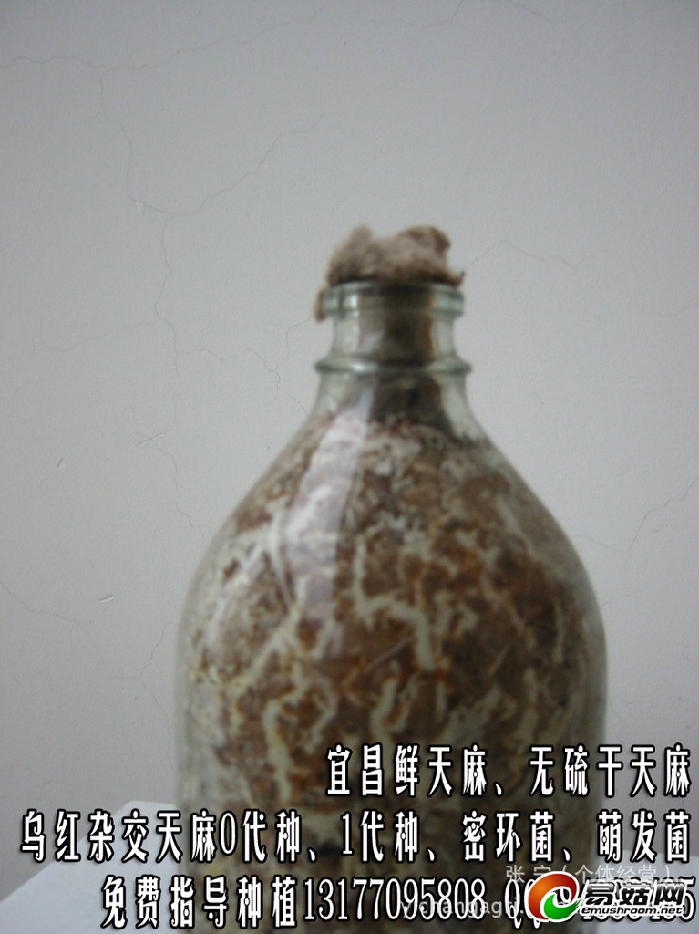 ManBetX体育