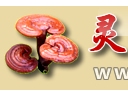 ManBetX体育