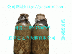 ManBetX体育