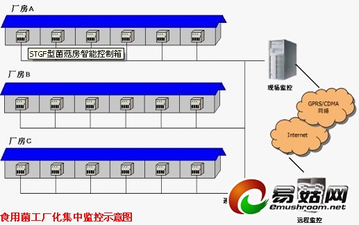 ManBetX体育