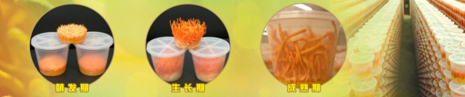 ManBetX体育
