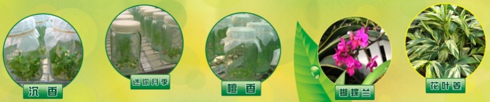 ManBetX体育