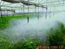 蔬菜灌溉喷头 喷施喷头 ManBetX体育
