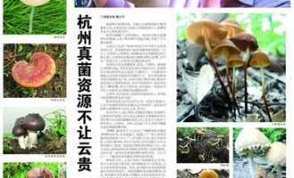 ManBetX体育