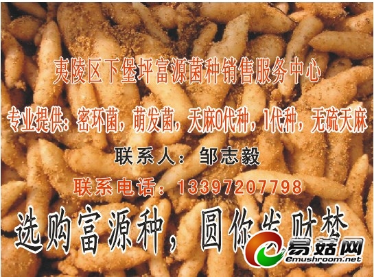 ManBetX体育