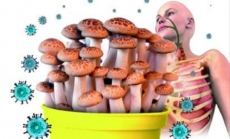 ManBetX体育