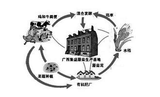 ManBetX体育