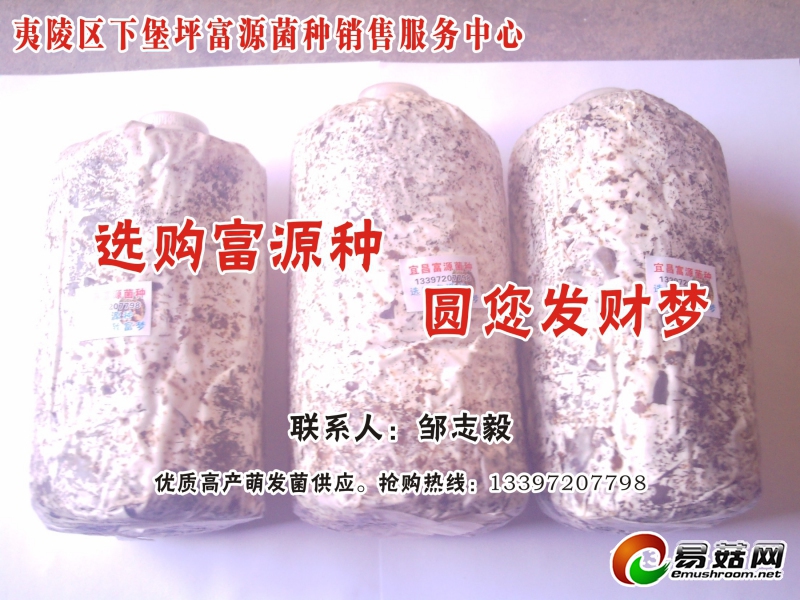 ManBetX体育