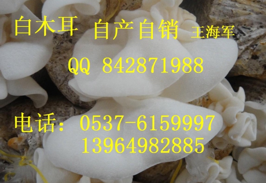 ManBetX体育