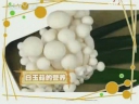 ManBetX体育