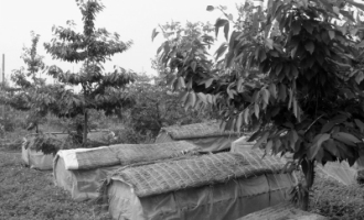 ManBetX体育