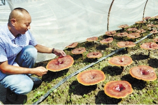 ManBetX体育