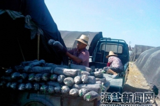 ManBetX体育