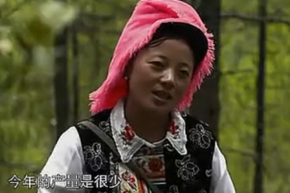 ManBetX体育