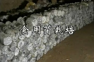 ManBetX体育