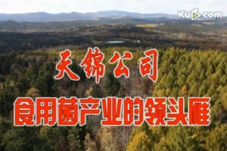 ManBetX体育