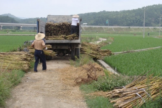 ManBetX体育