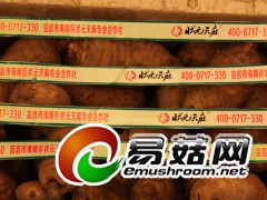 ManBetX体育