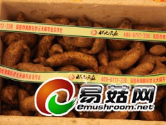 ManBetX体育