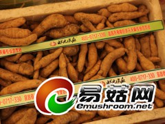 ManBetX体育