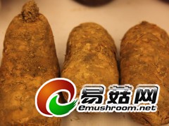ManBetX体育