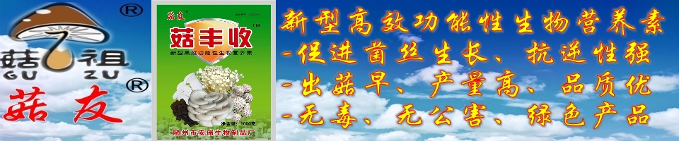 ManBetX体育
