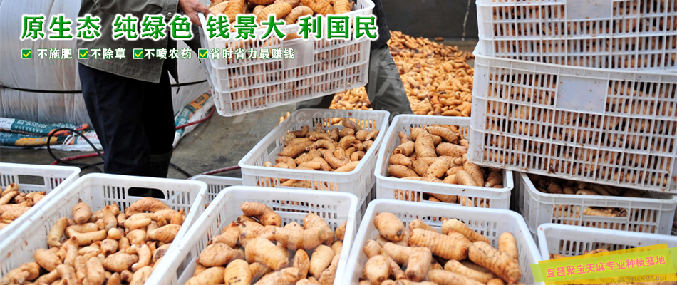 ManBetX体育