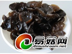 ManBetX体育